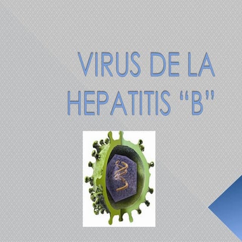 Hepatitis b cha