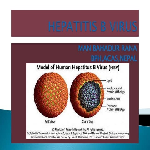 HEPATITIS B micro.pptx AND ITS APPLICATION | PPTX