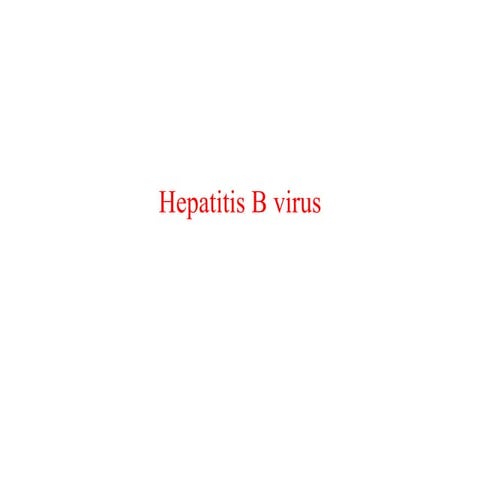Hepatitis B Virus | PPTX
