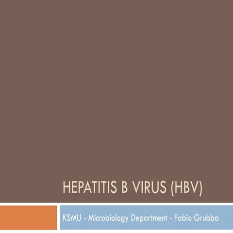 Hepatitis b virus (hbv)