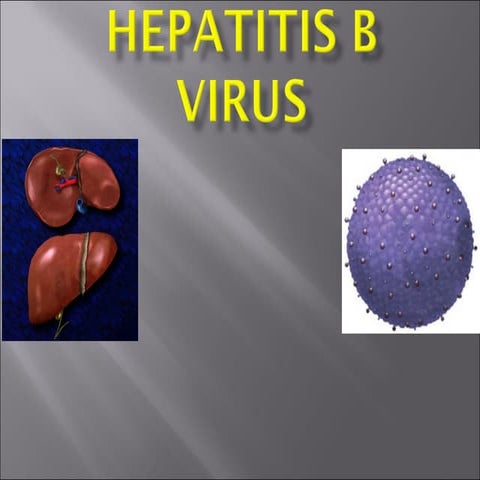 what is Hepatitis B Virus ( HBV)