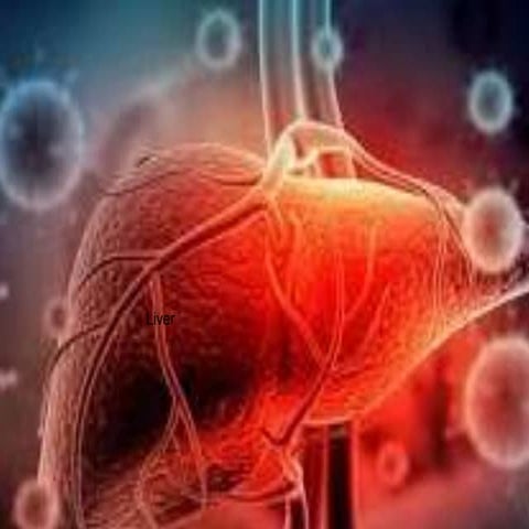 Hepatitis Pooja &Toni ppt.pptx Bachelor Pharmacy 3rd semester unit 2nd disease