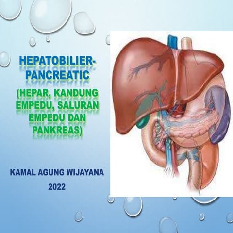HEPATOBILIERPANCREATIC disease management