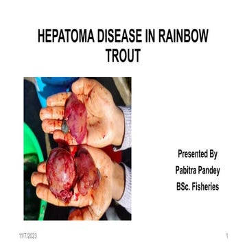 Hepatoma Disease in Rainbow Trout.pptx