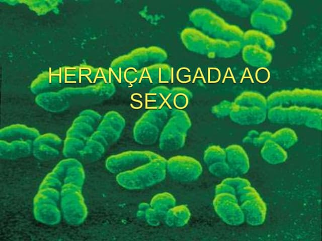 Herança ligada ao sexo 