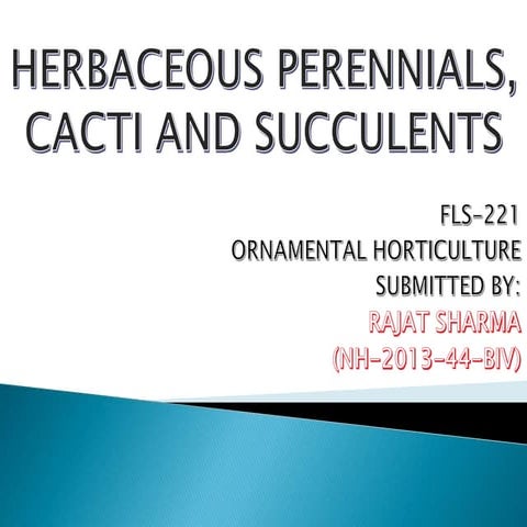 Herbaceous perennials, Cacti and succulents