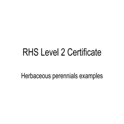 Herbaceous perennials examples