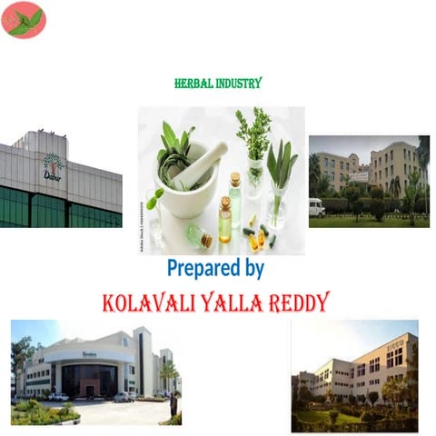 SCOPE OF HERBAL DRUG MEDICINE AND INDUSTRY