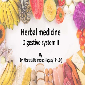 Herbal medicine digestive system ii
