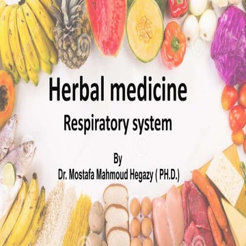 Herbal medicine respiratory system