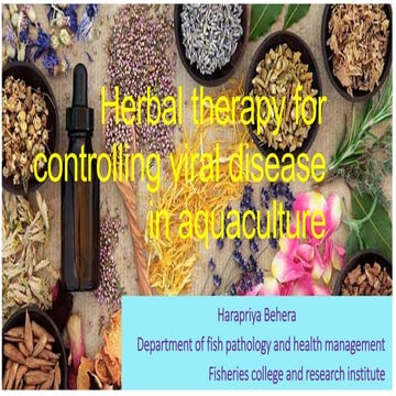 Herbal therapy for controlling viral disease in aquaculture
