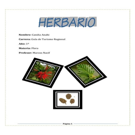 Herbario 
