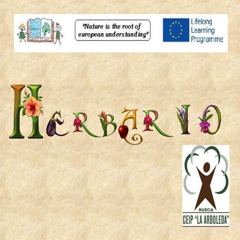 Herbario comenius