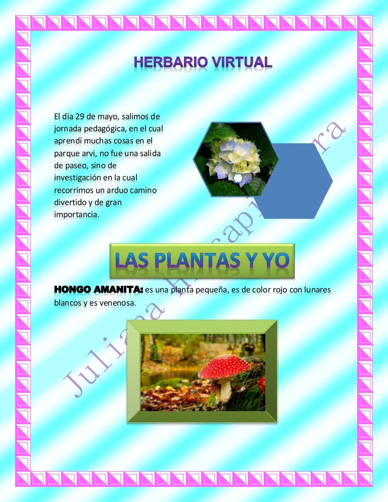 Herbario virtual