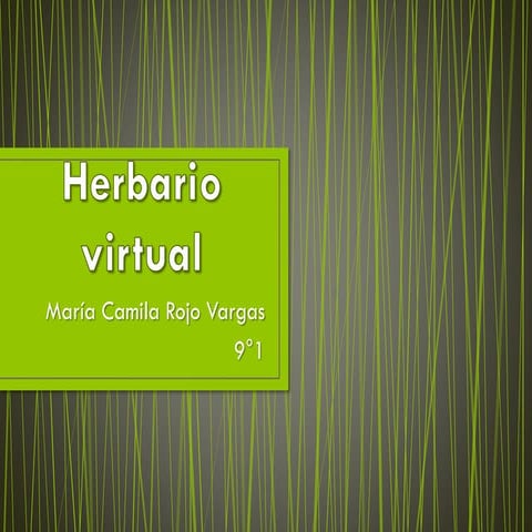 Herbario virtual