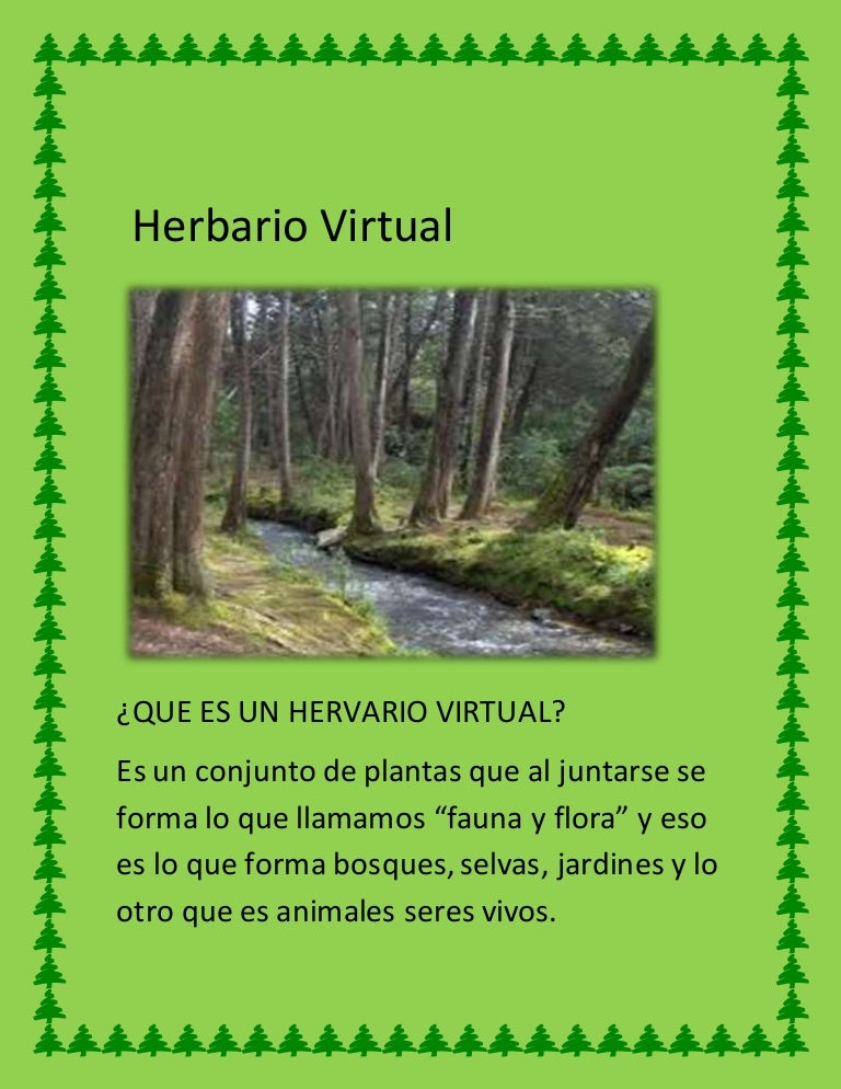 Herbario virtual
