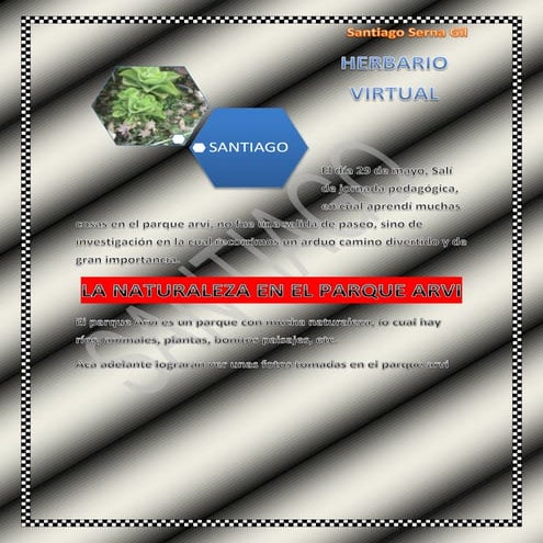 Herbario virtual santi 