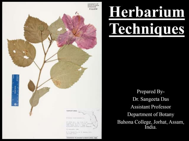 Herbarium Techniques