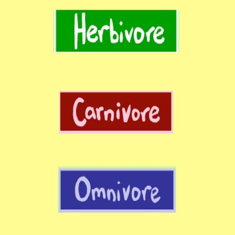 Organisms in an Ecosystem powerpoint