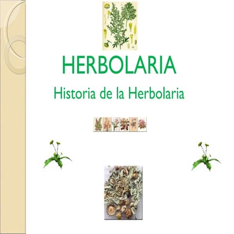 Historia de Medicina Herbolaria