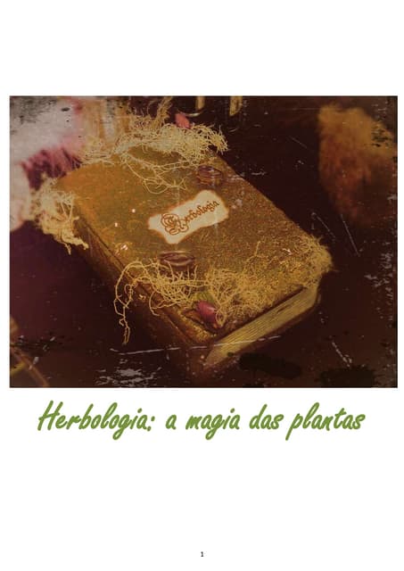 Herbologia: a magia das plantas