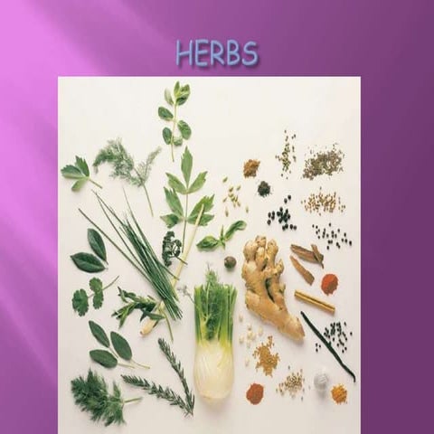 Herbs