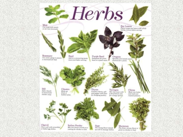 Herbs
