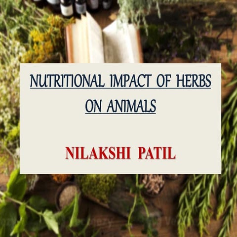 NUTRITIONAL IMPACT OF HERBS ON ANIMALS.pptx