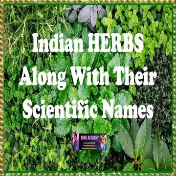 Herbs and their Scientific Names - plants