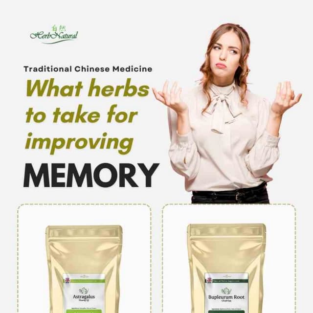 What Herbs To Take For Improving Memory PDF