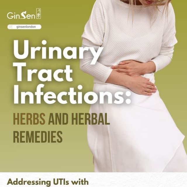 Herbs for UTI PDF