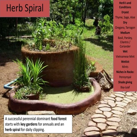 Herb spiral