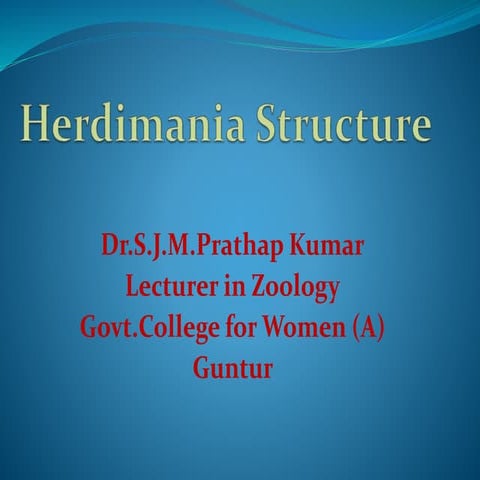 Herdimania structure
