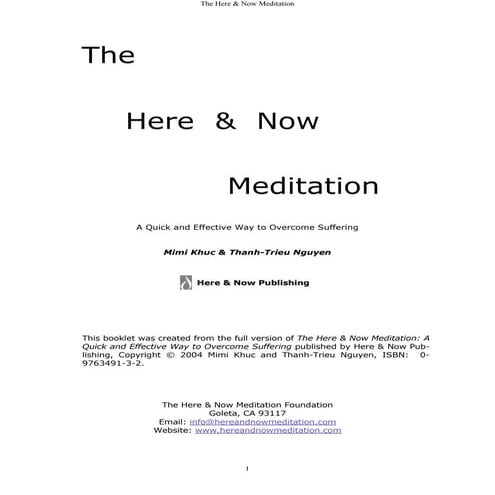 Here and now meditation
