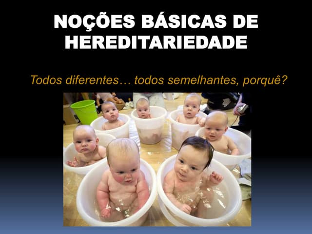 Hereditariedade