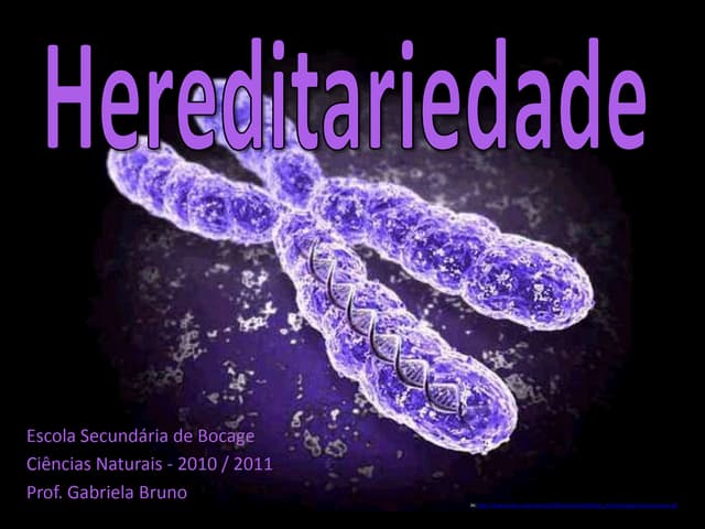 Hereditariedade