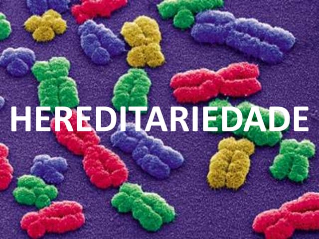 Hereditariedade