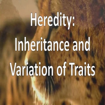 Heredity - Genes, Chromosomes, Solving a Punnett Square and Non-Mendelian Inh...