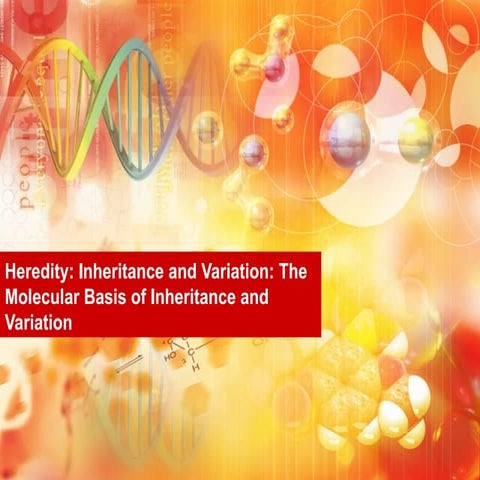 Heredity: Inheritance and Variation: The Molecular Basis of Life | PPTX