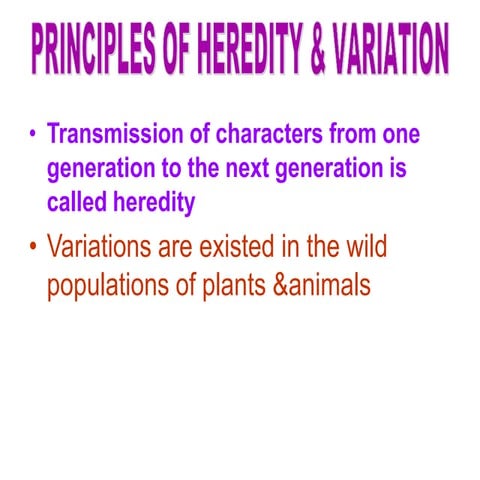 heredity  class 10.pptx