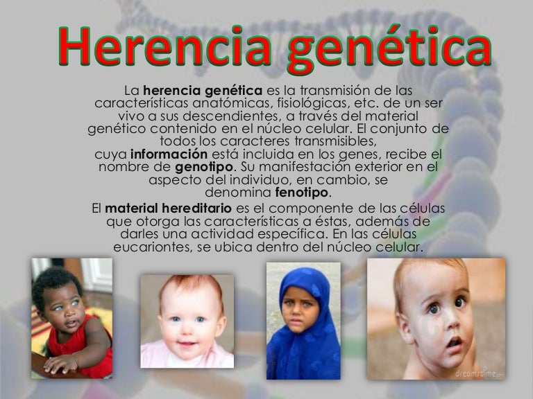 Herencia Gen tica