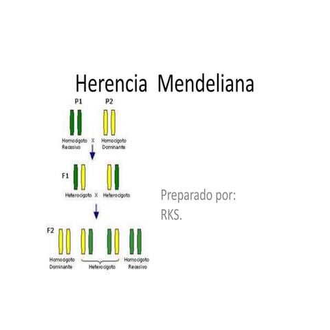 Herencia  mendeliana