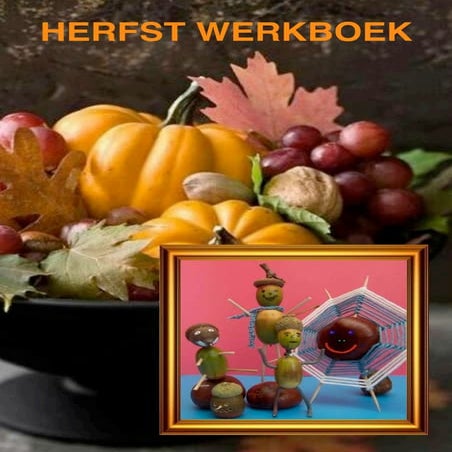 Herfst werkboek met werkbladen van schoolgoochelaar aarnoud agricola buikspre...