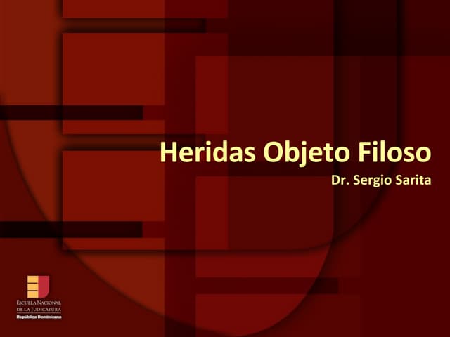 ENJ-300 Heridas Objeto Filoso