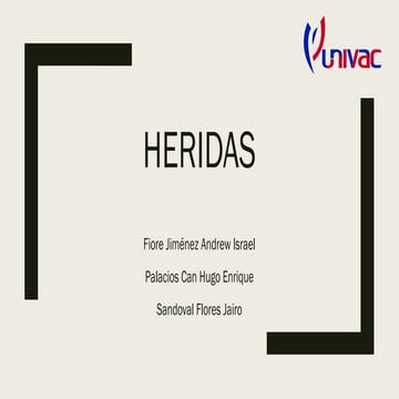 Heridas Equipo 2.pptxaaaaaaaaaaaaaaaaaaaaaaaaaa