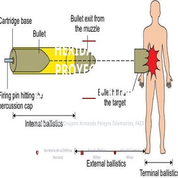 Comprehensive Medical Management of Firearm Projectile Injuries ...
