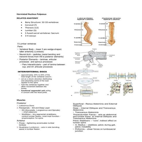 Herniated-Nucleus-Pulposus-1.docx