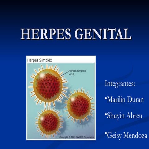 Herpes Genital