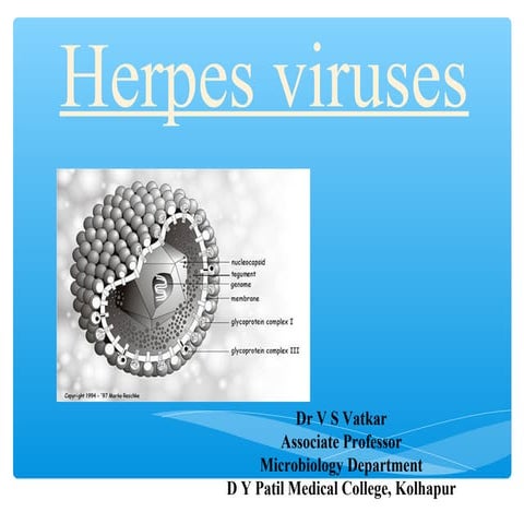 Herpesviruses2