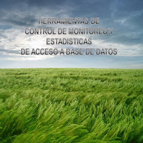 Herramientas De Control De B D